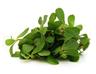 Purslane