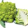 Cauliflower: Romanesco